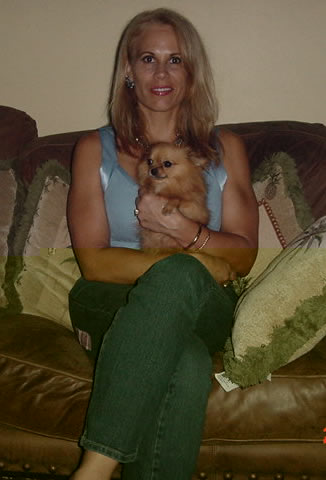 long haired chihuahua puppy chihuahua puppy for sale